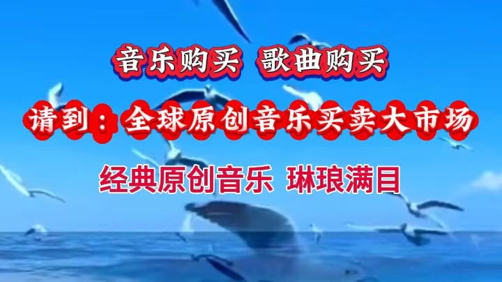 门户新闻15（图）：音乐购买 歌曲购买