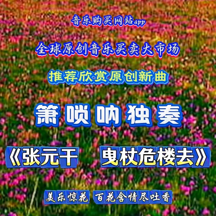 门63：缩略图